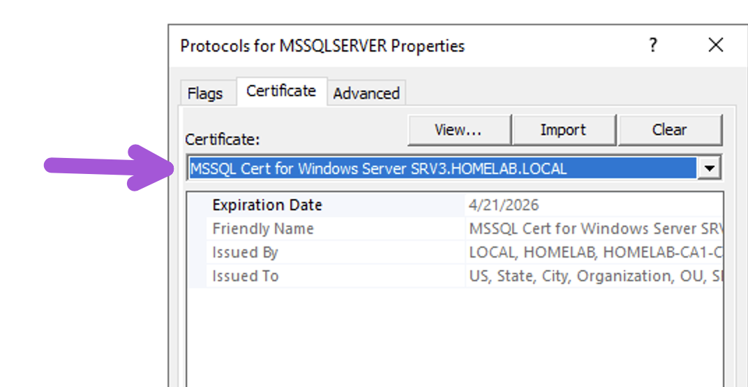 Technical Screenshot